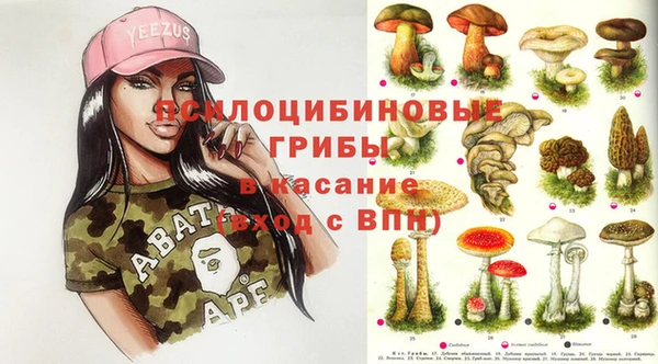 сатива Абдулино