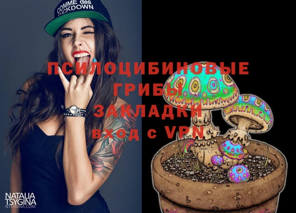 сатива Абдулино