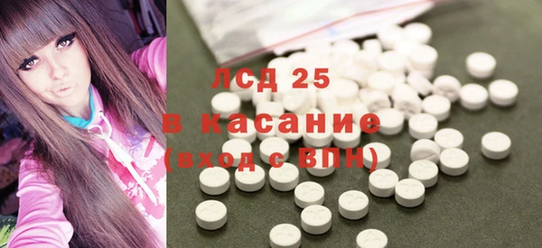 прущие грибы Алзамай
