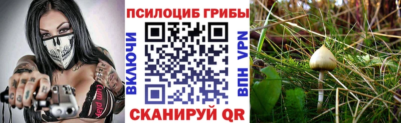 Псилоцибиновые грибы прущие грибы  Нягань 